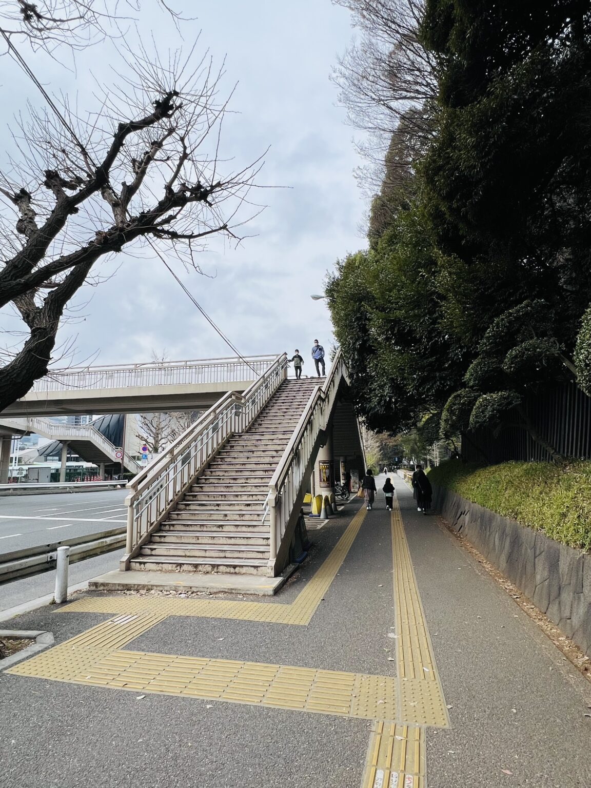 【写真でわかりやすい】 #代々木公園 イベント広場・ケヤキ並木への行き方 - 代々木公園イベントニュース