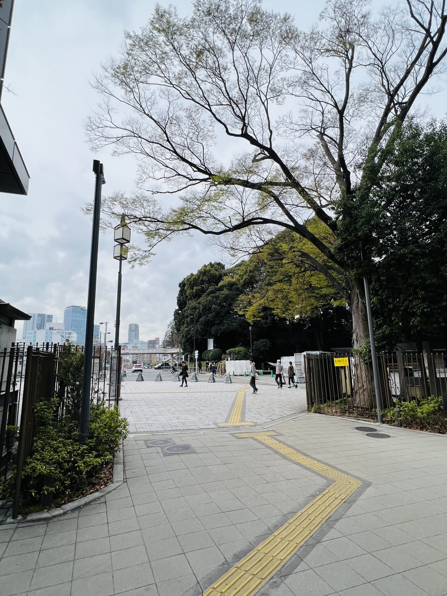【写真でわかりやすい】 #代々木公園 イベント広場・ケヤキ並木への行き方 - 代々木公園イベントニュース
